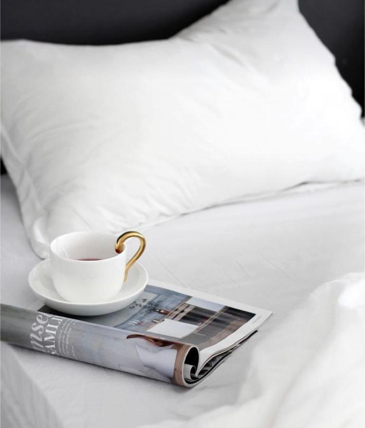The Queen Airport Hotel-Round Trip Airport Service Arnavutkoy Eksteriør billede